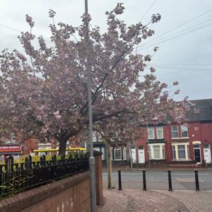 Life issues with Lois