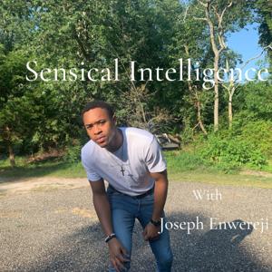 Sensical Intelligence