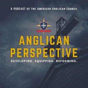 Anglican Perspective