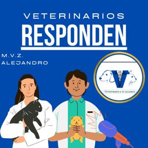 Veterinarios Responden