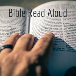 Bible Read Aloud by Ryan S. Allan