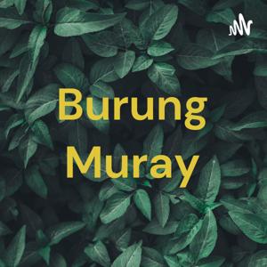 Burung Muray