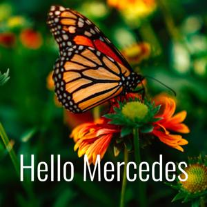 Hello Mercedes