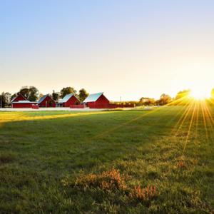 Stories from the Heartland