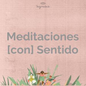 Meditaciones [con] Sentido