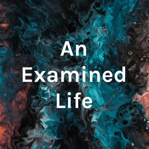 An Examined Life