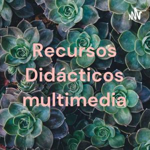 Recursos Didácticos multimedia