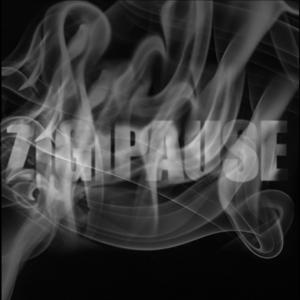 Zigipause