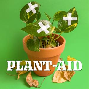 Plant-Aid with Planto Momma