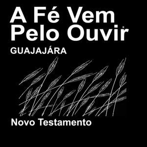 Guajajára Bíblia (Não dramatizada) - Guajajára (Non-dramatized)