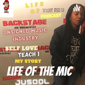 Life of The Mic