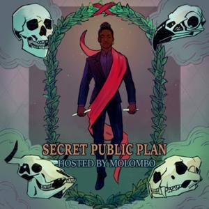 Secret Public Plan