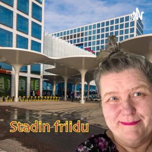 Stadin friidu