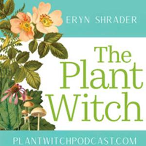 Plant Witch by Eryn Shrader