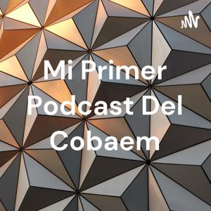 Mi Primer Podcast Del Cobaem