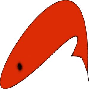 Fly Fishing Podcast