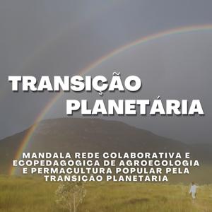 Transição Planetária