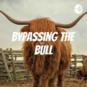 Bypassing the Bull