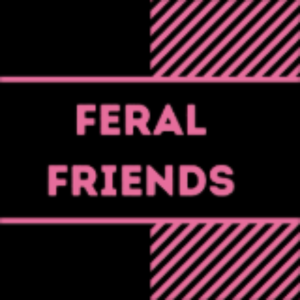 Feral Friends