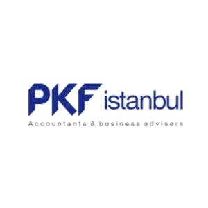 PKF İstanbul Yönetim Danışmanlığı