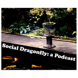 Social Dragonfly