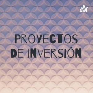 Proyectos De Inversión