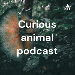 Curious animal podcast