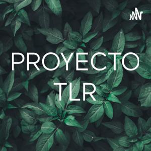 PROYECTO TLR