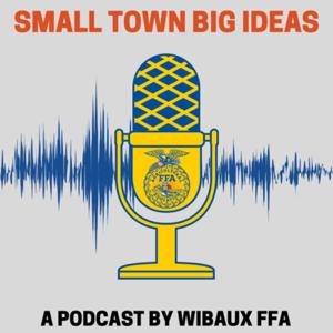 Small Town Big Ideas