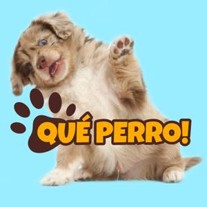 Qué Perro!