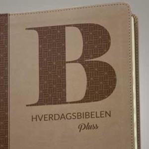 Hverdagsbibelen