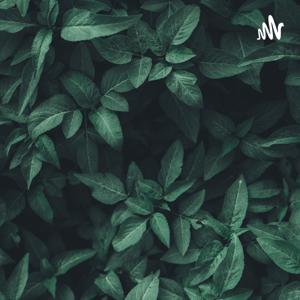 Podcast_Meyssyn