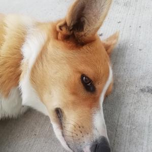My Best Friend Hazel
