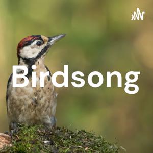 Birdsong