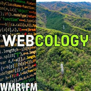 Webcology