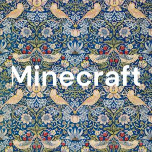 Minecraft by Robin Brahm