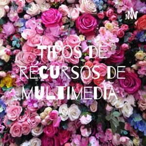 Tipos de recursos de multimedia