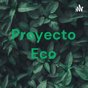 Proyecto Eco