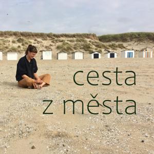 Cesta z města