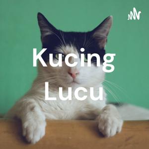 Kucing Lucu