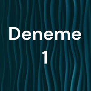 Deneme 1