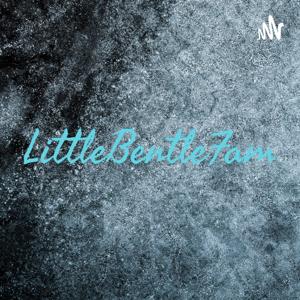 LittleBentleFam