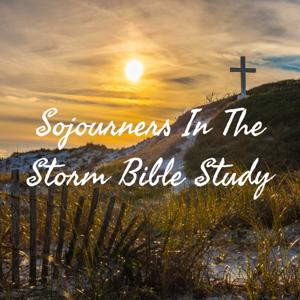 Sojourners In The Storm Bible Study