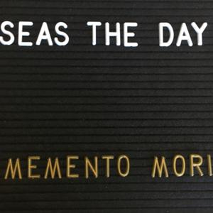 Seas The Day