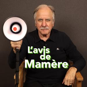 L'avis de Mamère