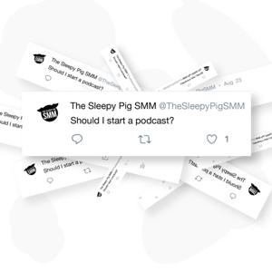 The Sleepy Pig Social Media Management