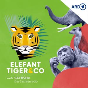 Elefant, Tiger & Co. - Der Podcast by Mitteldeutscher Rundfunk