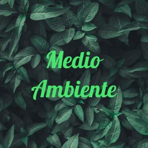 Medio Ambiente