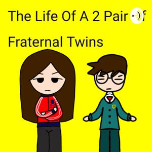 The Life Of A 2 Pair Of Fraternal Twins