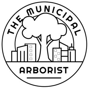 The Municipal Arborist by Joe Hansen